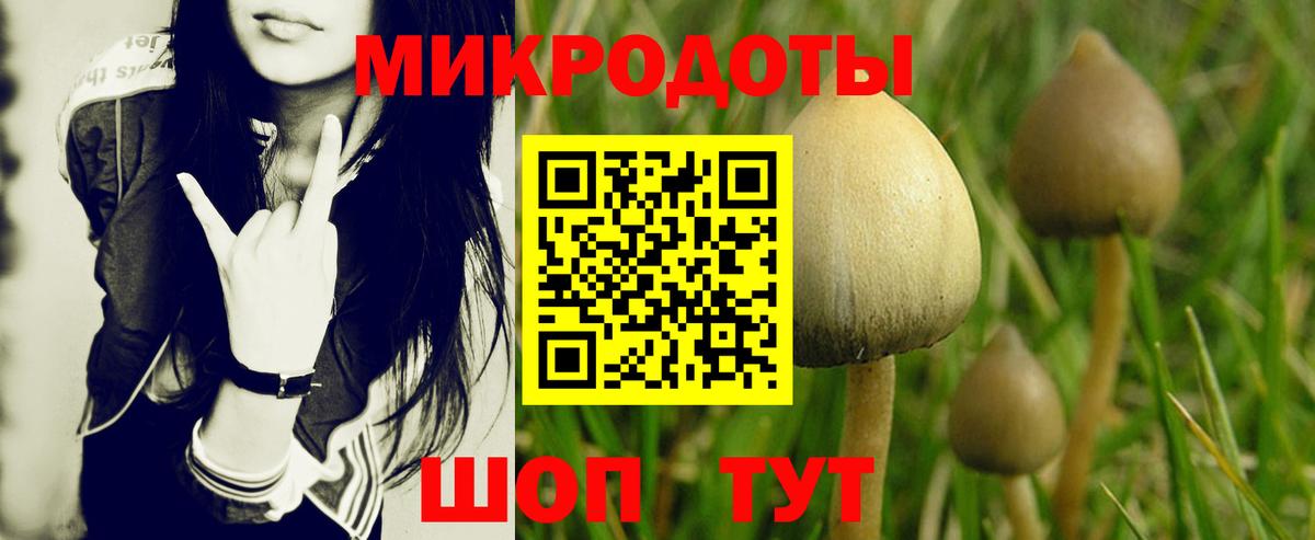 купить  сайты  Галлюциногенные грибы ЛСД  Псилоцибиновые грибы ЛСД  Вход с VPN  Арзамас 
